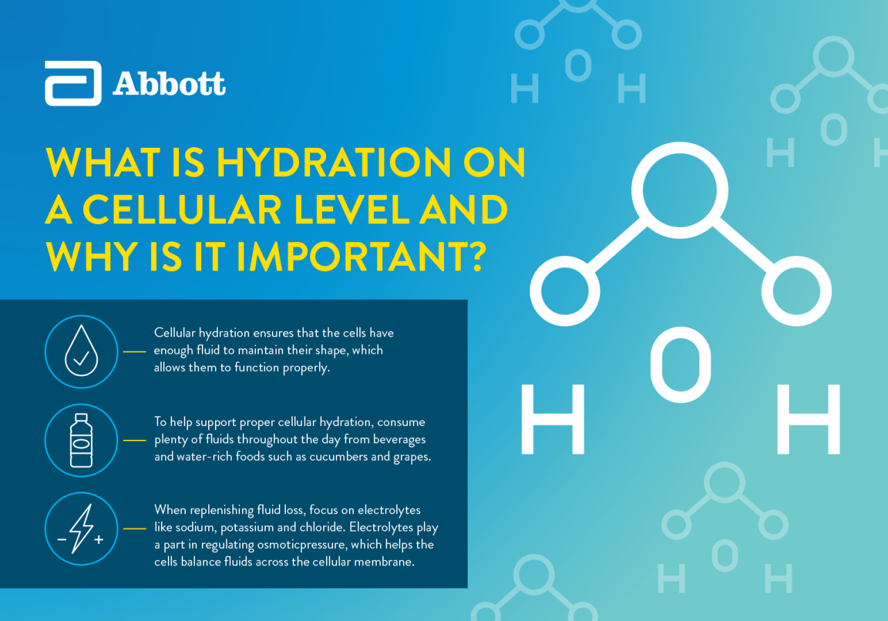 What Is Hydration on a Cellular Level and Why Is It Important? Micrographic