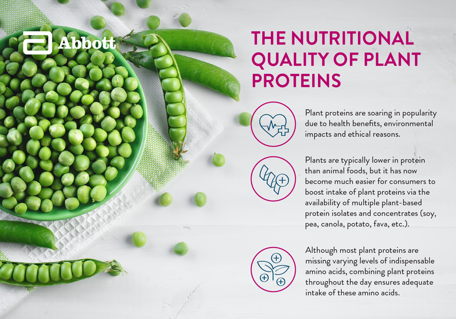 The Nutritional Quality of Plant Proteins