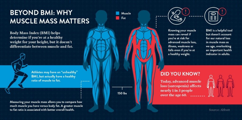 Using BMI and Muscle Mass To Determine Overall Health