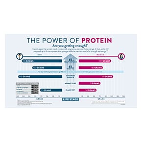 Learn how much protein adults need at various stages of life and activity.